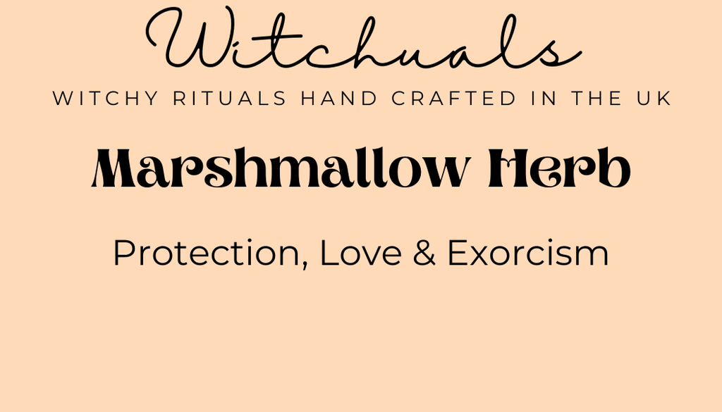 Witchuals - Rituals & Spellwork Apothecary - Marshmallow Herb