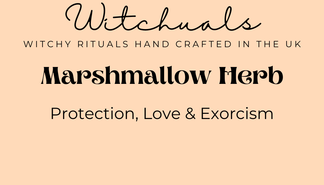 Witchuals - Rituals & Spellwork Apothecary - Marshmallow Herb