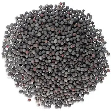 Witchuals - Rituals & Spellwork Apothecary - Black Mustard Seeds