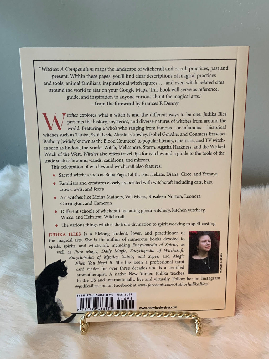 Witches: A Compendium by Judika Illes