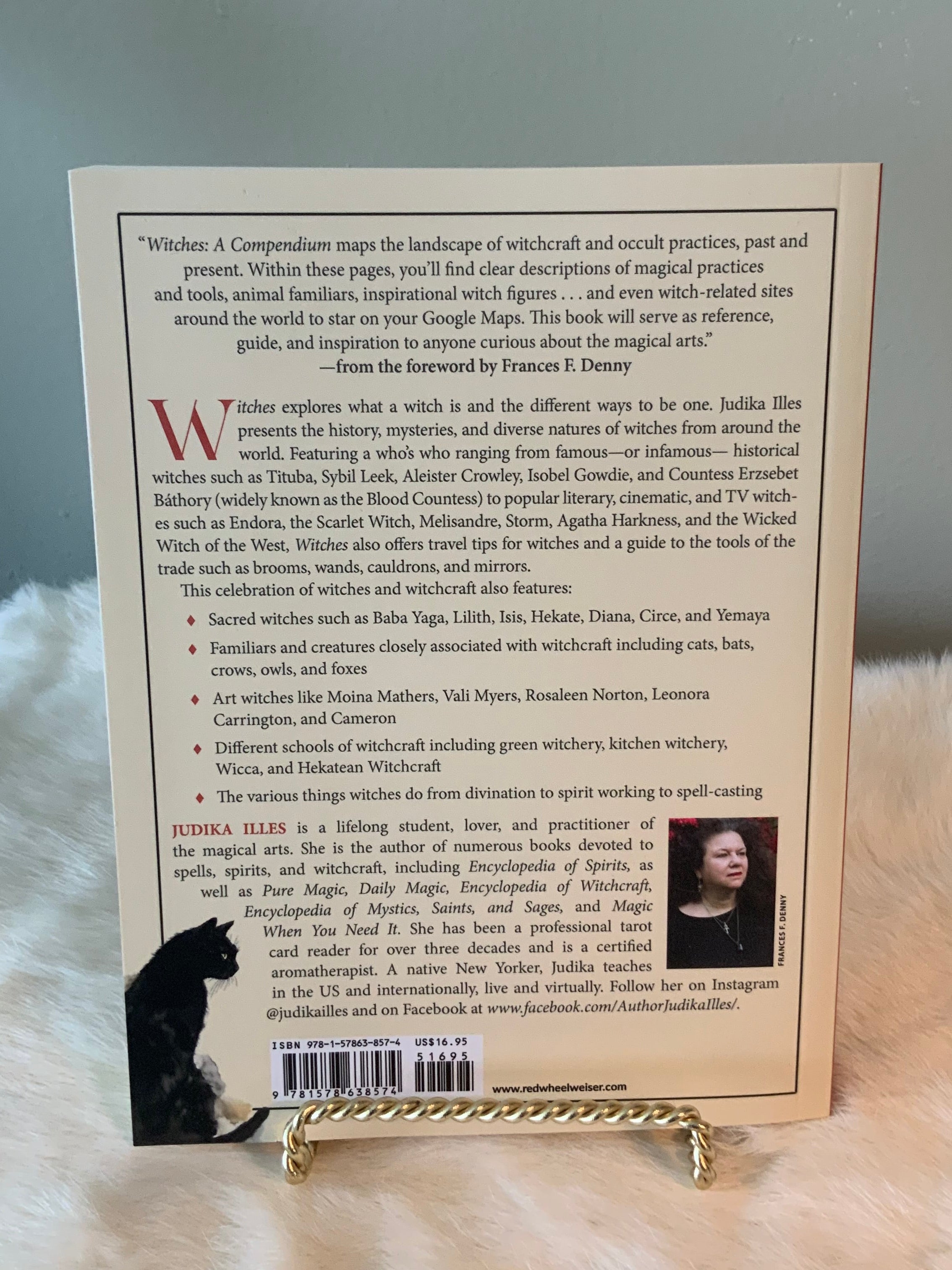 Witches: A Compendium by Judika Illes