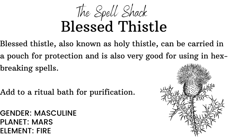 Witchuals - Rituals & Spellwork Apothecary - Blessed Thistle