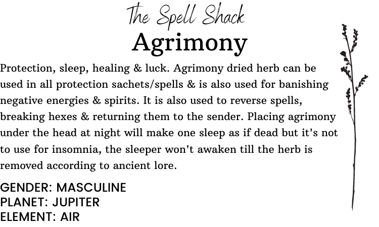 Witchuals - Rituals & Spellwork Apothecary - Agrimony