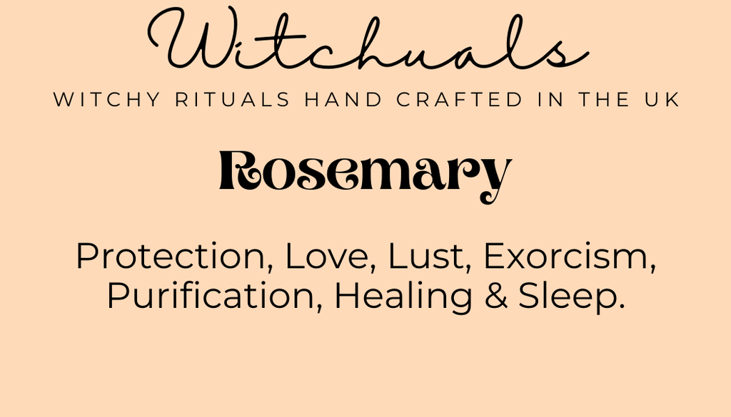 Witchuals - Rituals & Spellwork Apothecary - Rosemary