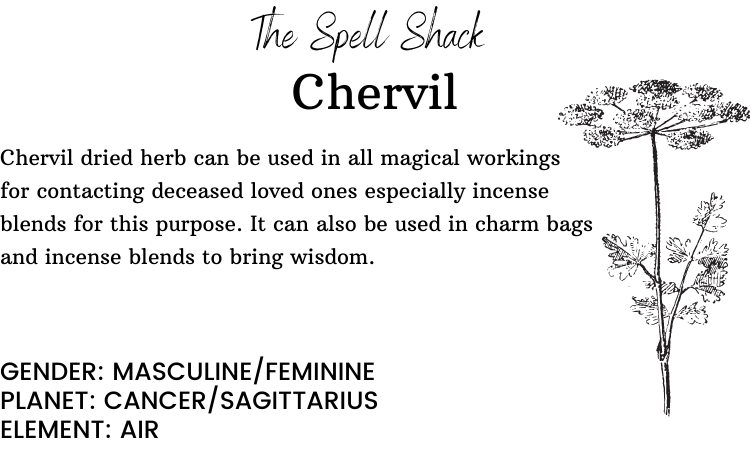 Witchuals - Rituals & Spellwork Apothecary - Chervil