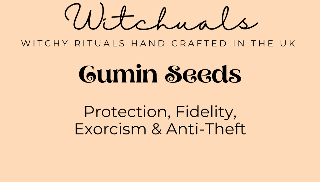 Witchuals - Rituals & Spellwork Apothecary - Cumin Seeds