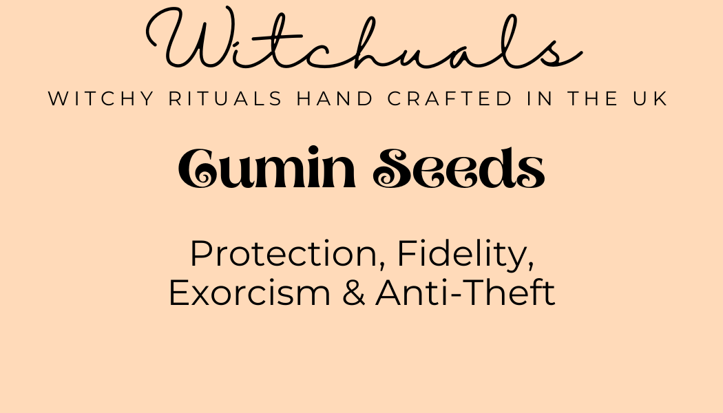 Witchuals - Rituals & Spellwork Apothecary - Cumin Seeds
