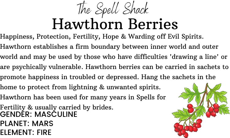 Witchuals - Rituals & Spellwork Apothecary - Hawthorn Berries
