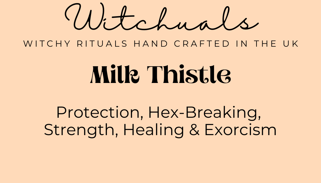 Witchuals - Rituals & Spellwork Apothecary - Milk Thistle