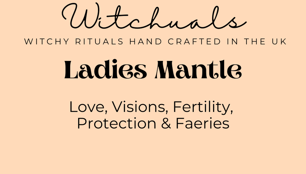 Witchuals - Rituals & Spellwork Apothecary - Ladies Mantle