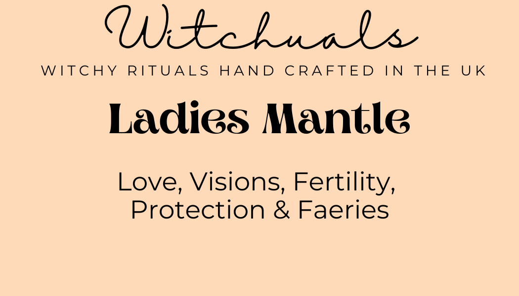 Witchuals - Rituals & Spellwork Apothecary - Ladies Mantle
