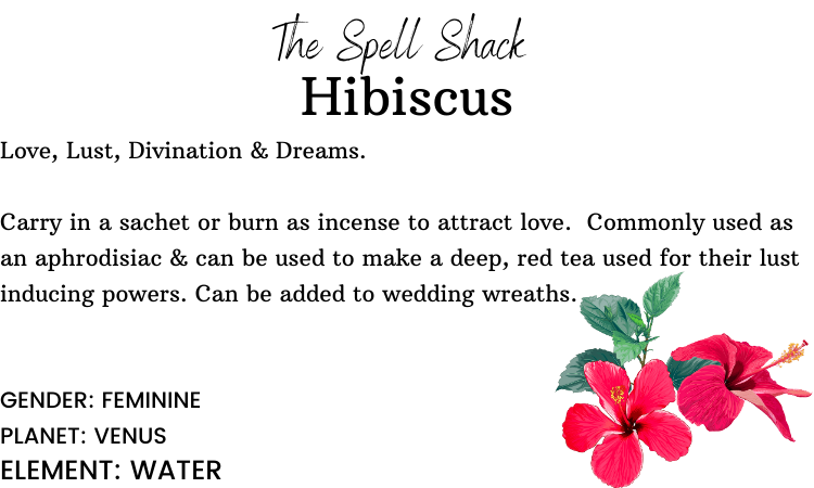 Witchuals - Rituals & Spellwork Apothecary - Hibiscus