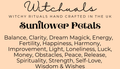 Witchuals - Rituals & Spellwork Apothecary - Sunflower Petals