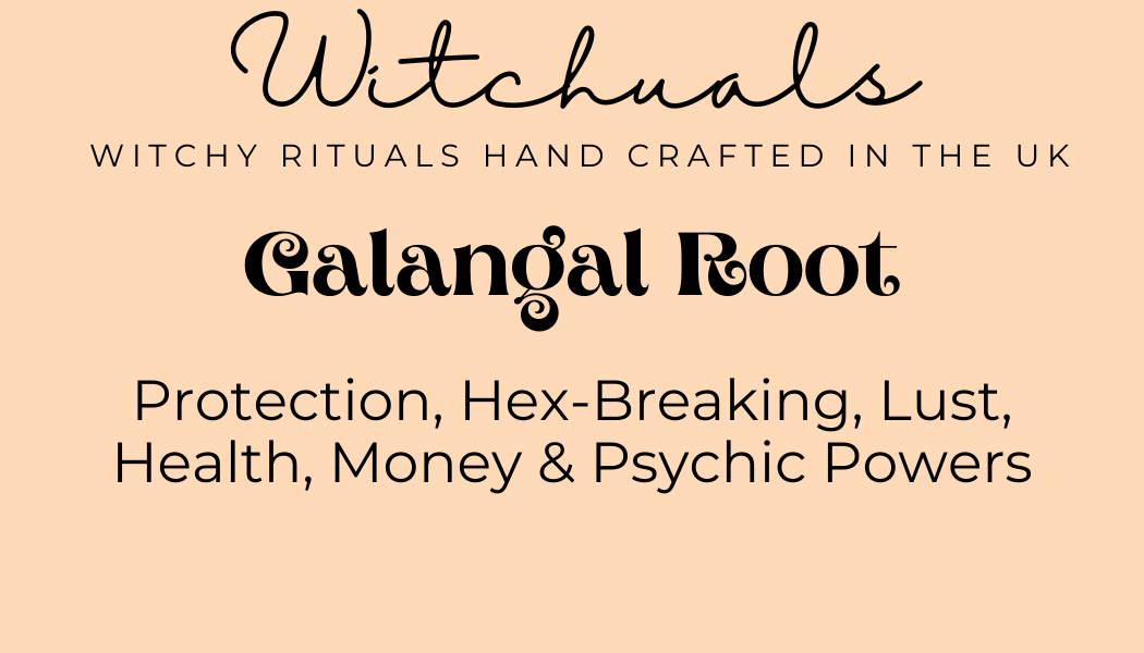 Witchuals - Rituals & Spellwork Apothecary - Galangal Root