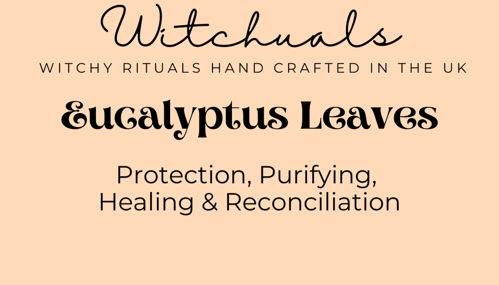 Witchuals - Rituals & Spellwork Apothecary - Eucalyptus Leaves