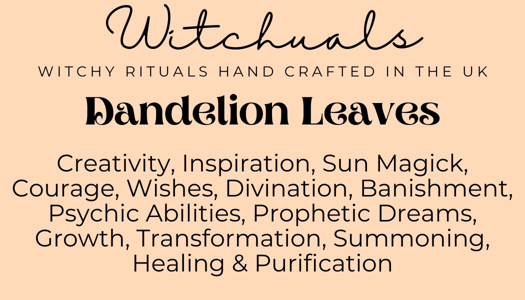 Witchuals - Rituals & Spellwork Apothecary - Dandelion Leaves