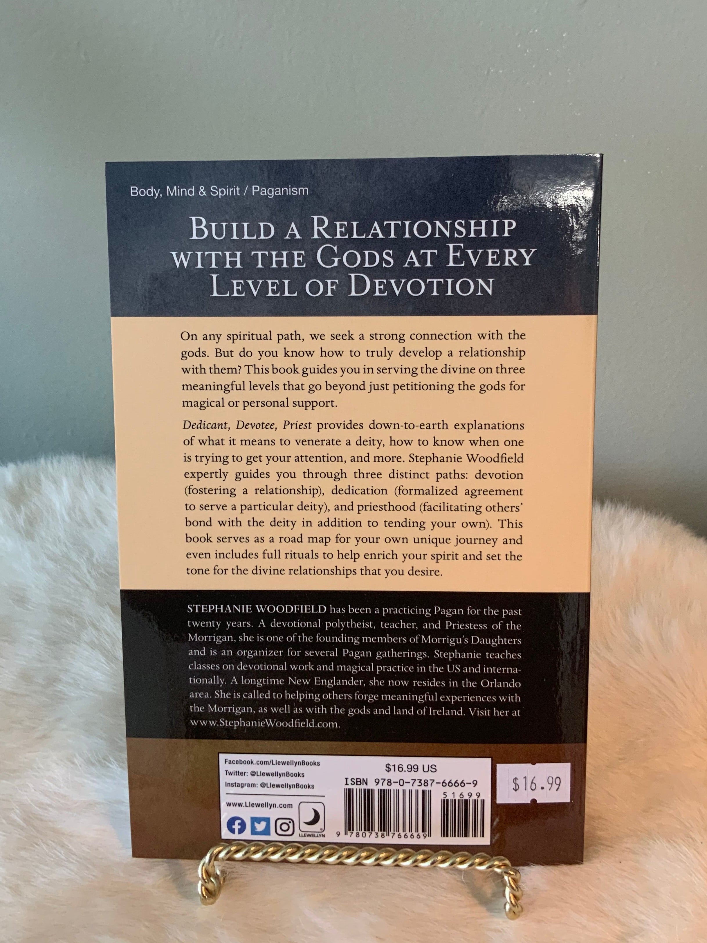 Dedicant, Devotee, Priest - A Pagan Guide Book