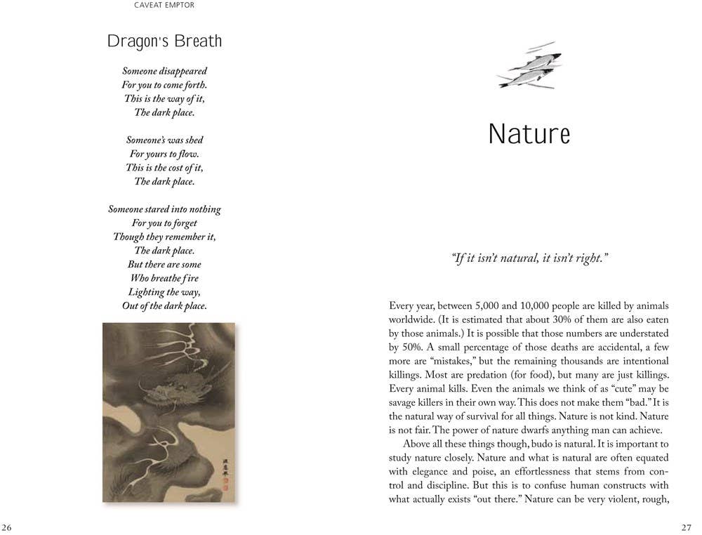 Art Of Life And Death: Lessons In Budo From A Ninja Master