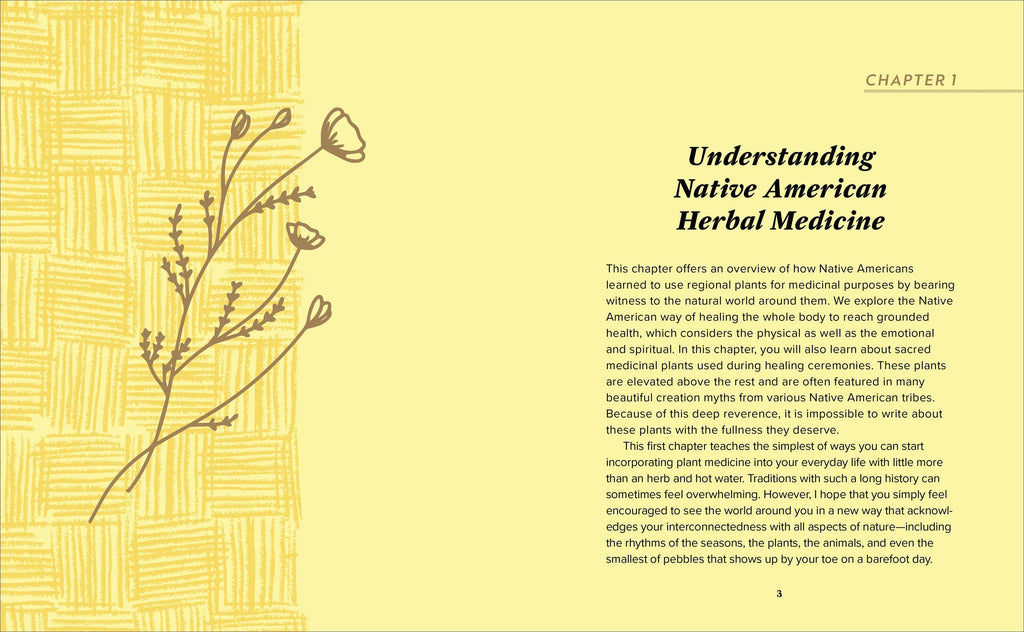 Beginner's Guide to Native American Herbal Medicine