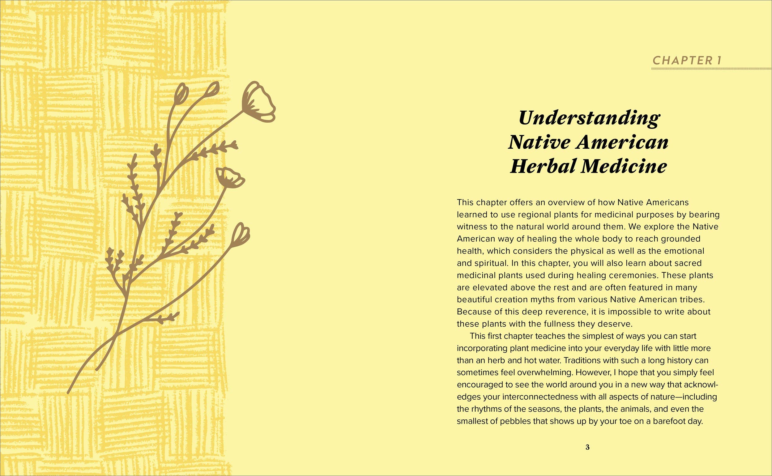 Beginner's Guide to Native American Herbal Medicine