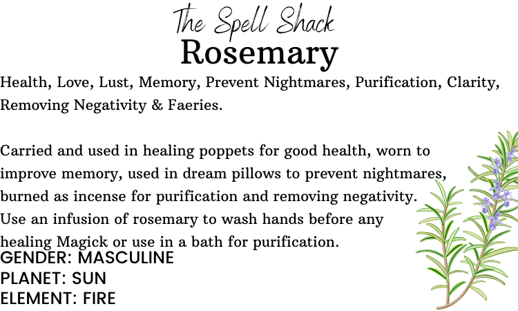 Witchuals - Rituals & Spellwork Apothecary - Rosemary