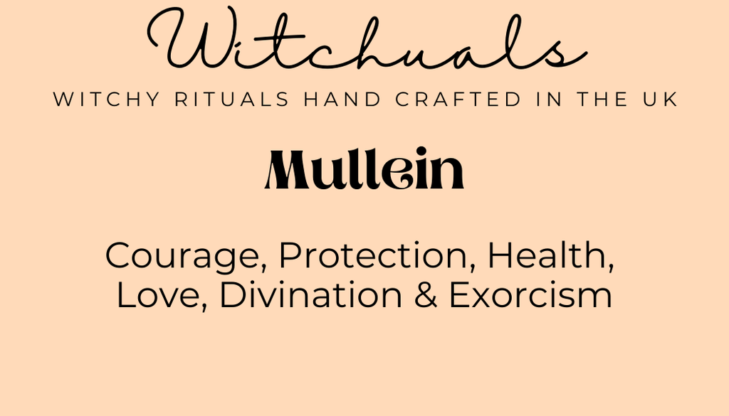 Witchuals - Rituals & Spellwork Apothecary - Mullein