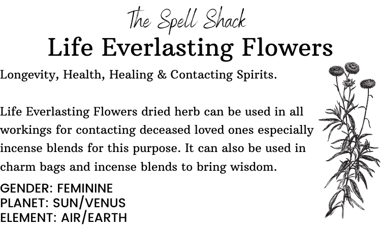 Witchuals - Rituals & Spellwork Apothecary - Life Everlasting Flowers