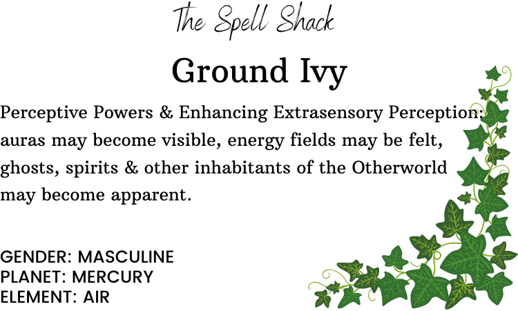 Witchuals - Rituals & Spellwork Apothecary - Ground Ivy