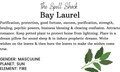 Witchuals - Rituals & Spellwork Apothecary - Bay Laurel