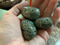 Tumbled pyrite HO
