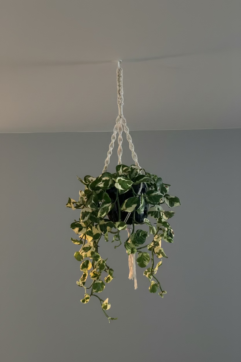 Macrame Medium