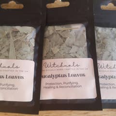 Witchuals - Rituals & Spellwork Apothecary - Eucalyptus Leaves