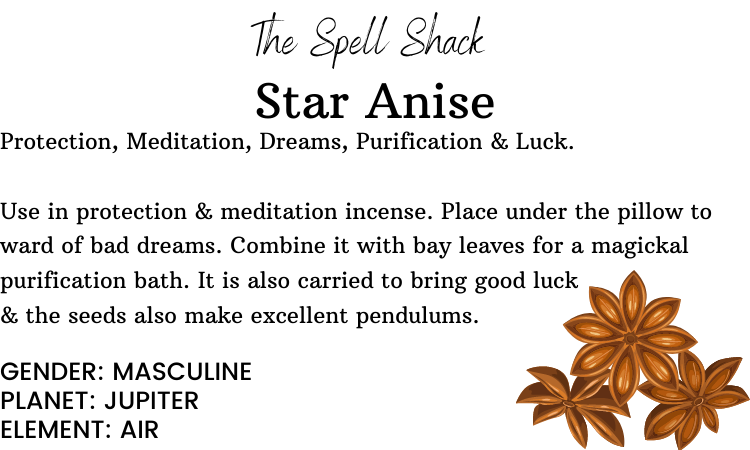 Witchuals - Rituals & Spellwork Apothecary - Star Anise