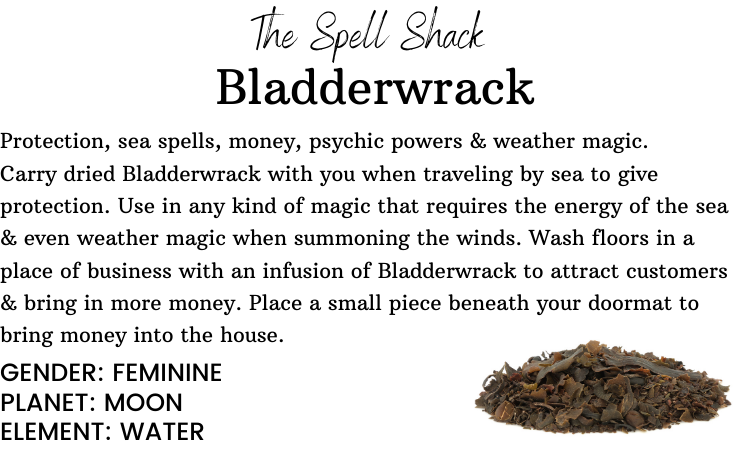 Witchuals - Rituals & Spellwork Apothecary - Bladderwrack