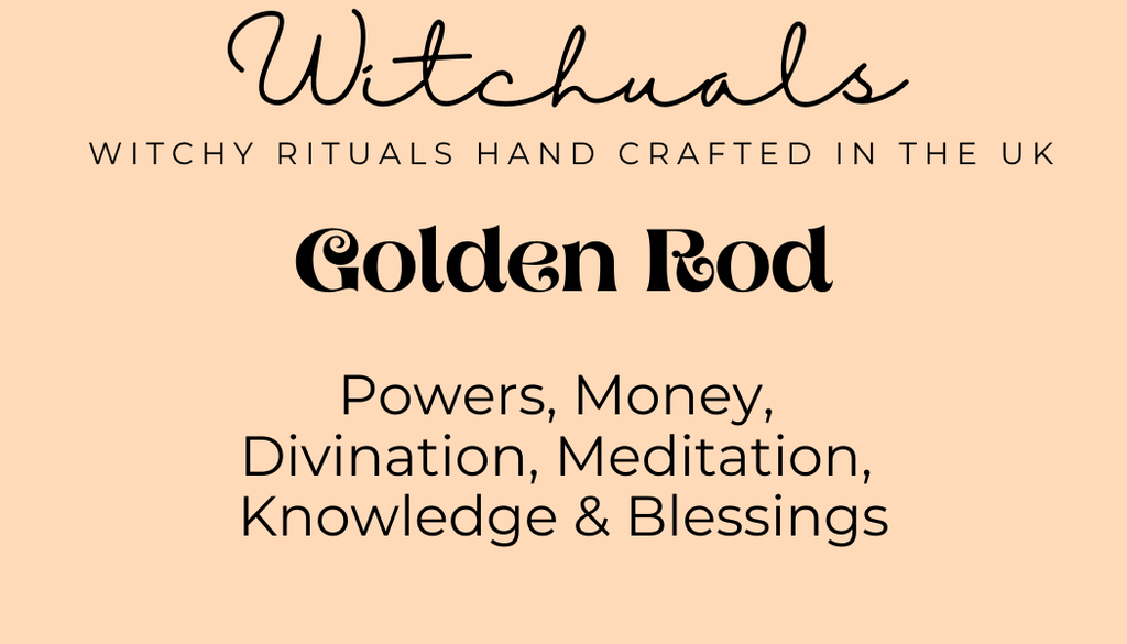 Witchuals - Rituals & Spellwork Apothecary - Golden Rod