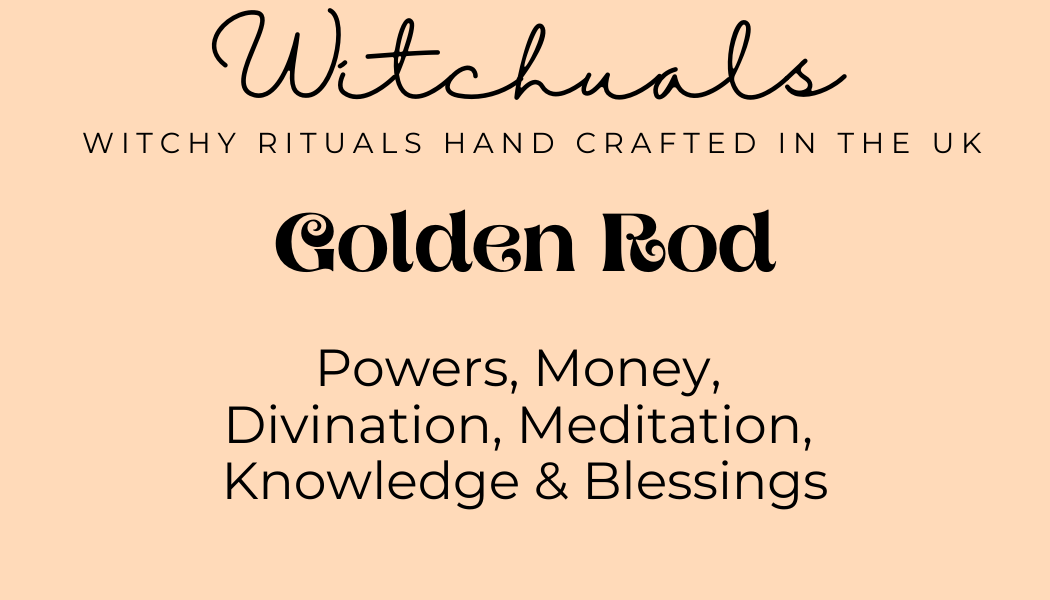 Witchuals - Rituals & Spellwork Apothecary - Golden Rod