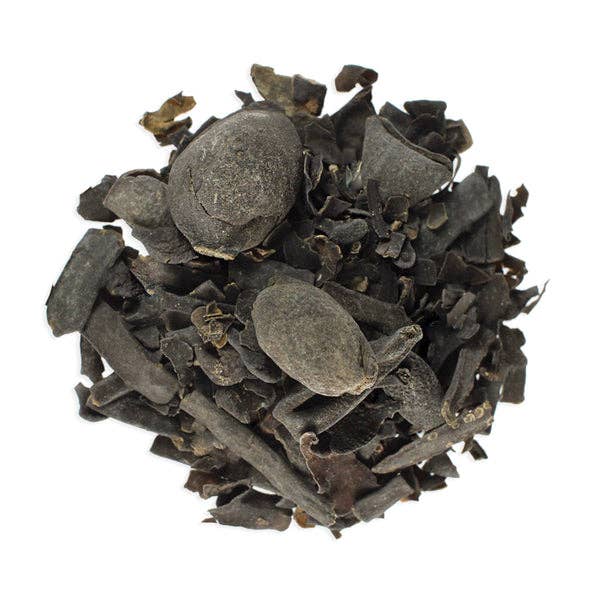 Witchuals - Rituals & Spellwork Apothecary - Bladderwrack