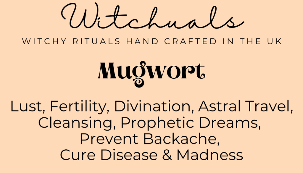 Witchuals - Rituals & Spellwork Apothecary - Mugwort