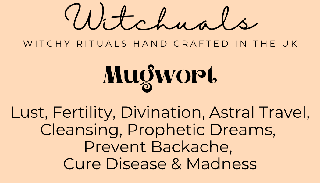 Witchuals - Rituals & Spellwork Apothecary - Mugwort