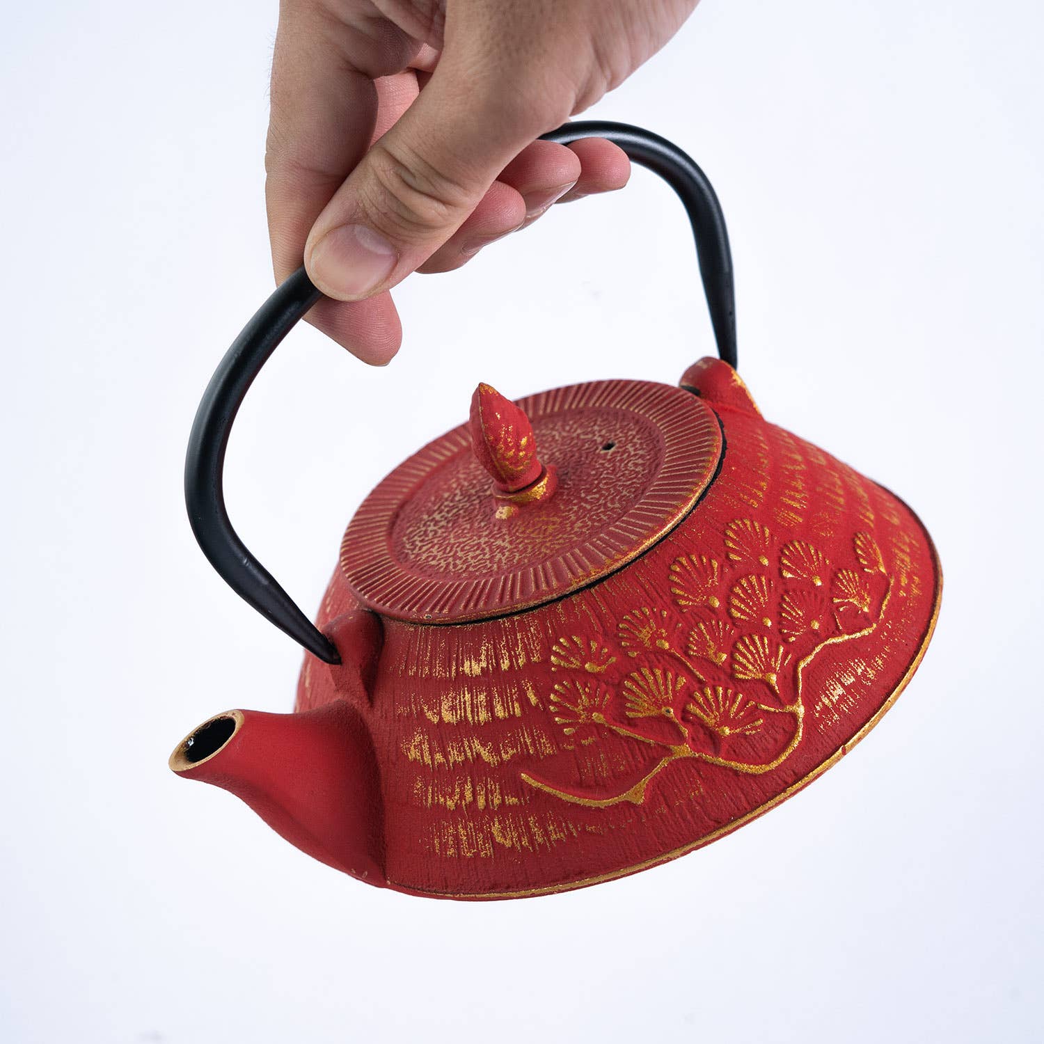 Red Ginko Design 28oz Cast Iron Tea Pot (1/8)