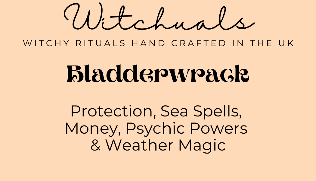 Witchuals - Rituals & Spellwork Apothecary - Bladderwrack