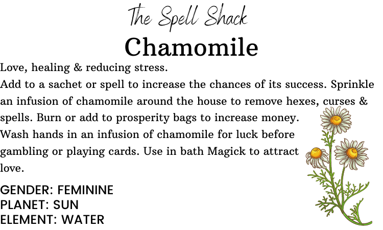 Witchuals - Rituals & Spellwork Apothecary - Chamomile