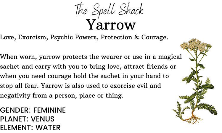 Witchuals - Rituals & Spellwork Apothecary - Yarrow