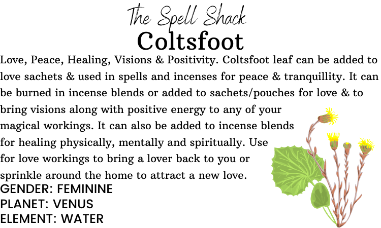 Witchuals - Rituals & Spellwork Apothecary - Coltsfoot