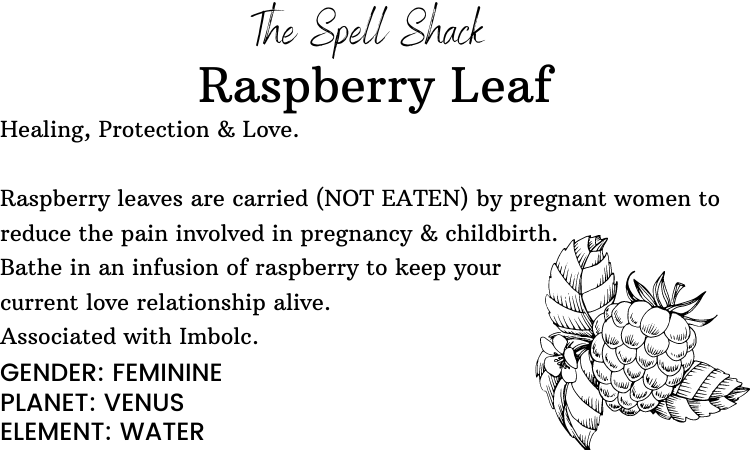 Witchuals - Rituals & Spellwork Apothecary - Raspberry Leaves
