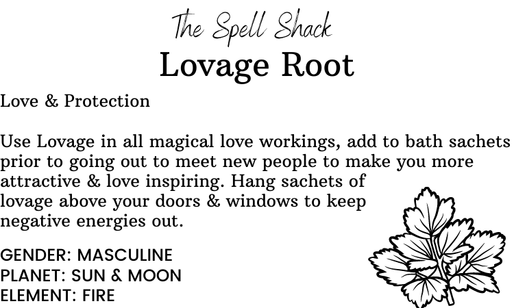 Witchuals - Rituals & Spellwork Apothecary - Lovage Root