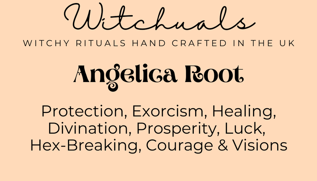 Witchuals - Rituals & Spellwork Apothecary - Angelica Root