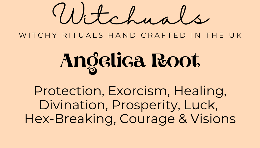 Witchuals - Rituals & Spellwork Apothecary - Angelica Root