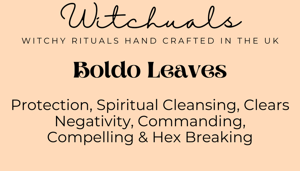 Witchuals - Rituals & Spellwork Apothecary - Boldo Leaves