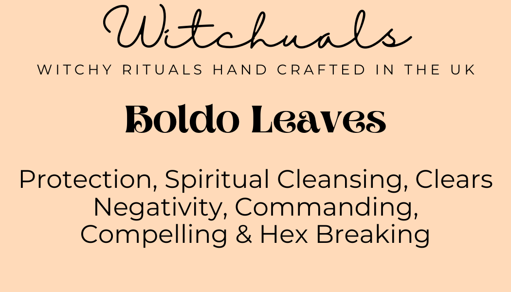 Witchuals - Rituals & Spellwork Apothecary - Boldo Leaves
